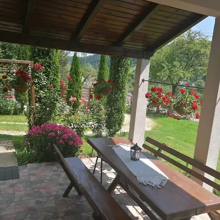 Camelia Holiday home Moieciu de Jos